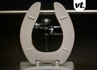 Surprising reason why public toilet seats have gap in them explained