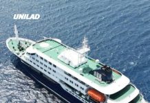 Two terrifying possible causes of hantavirus as three dead following cruise ship outbreak