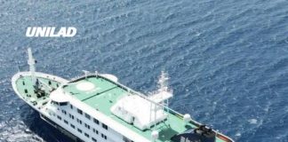 Two terrifying possible causes of hantavirus as three dead following cruise ship outbreak