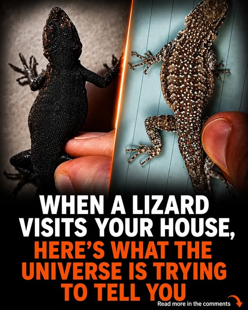 lizard
