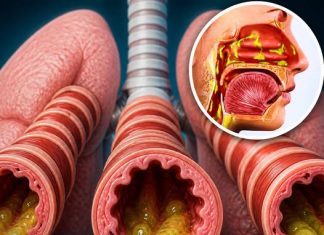 BREATHE EASY: 9 SIMPLE & NATURAL WAYS TO CLEAR PHLEGM AND MUCUS FROM YOUR CHEST AND THROAT