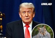 Trump sparks confusion with bizarre ‘squirrel’ comment after boasting about taking cognitive test