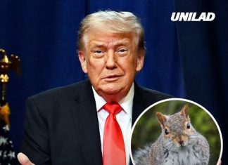 Trump sparks confusion with bizarre ‘squirrel’ comment after boasting about taking cognitive test
