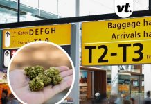 TSA secretly starts allowing passengers to bring weed onto planes – but there’s a subtle catch