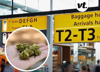 TSA secretly starts allowing passengers to bring weed onto planes – but there’s a subtle catch