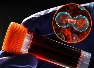 THE SHOCKING CONNECTION BETWEEN YOUR BLOOD TYPE AND YOUR RISK FOR SERIOUS DISEASE (YOUR GENETIC BLUEPRINT)
