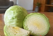 Cabbage Is Good but These People Should Think Twice Before Eating It: Essential Health Tips