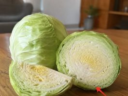 Cabbage Is Good but These People Should Think Twice Before Eating It: Essential Health Tips