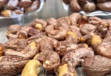 Doctors Reveal What Happens When You Start Eating Cashews Regularly