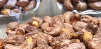 Doctors Reveal What Happens When You Start Eating Cashews Regularly