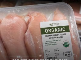 What They’re Not Telling You About Organic Chicken (And Why It’s Worth Looking Beyond the Label)