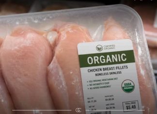 What They’re Not Telling You About Organic Chicken (And Why It’s Worth Looking Beyond the Label)