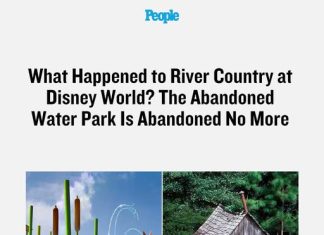 What Happened to River Country at Disney World? The Abandoned Water Park Is Abandoned No More