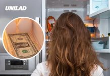 Putting a dollar bill in your fridge for a one-minute test could save you money, expert says