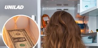 Putting a dollar bill in your fridge for a one-minute test could save you money, expert says