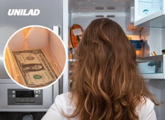 Putting a dollar bill in your fridge for a one-minute test could save you money, expert says