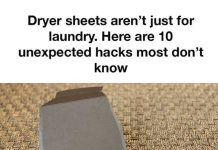 These ideas are amazing