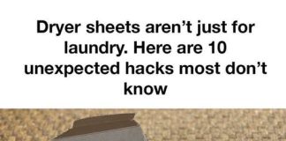 These ideas are amazing