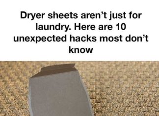 These ideas are amazing