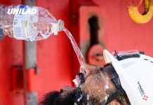 Warning issued for using cold water during a heatwave which could be ‘deadly’