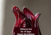 JAMAICAN FLOWER JELLY WITH CINNAMON AND CLOVES