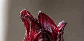 JAMAICAN FLOWER JELLY WITH CINNAMON AND CLOVES