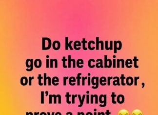 Truth About Ketchup