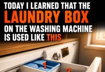 THE HIDDEN USES OF YOUR WASHING MACHINE’S DETERGENT DRAWER (WHY EACH COMPARTMENT MATTERS)