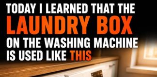THE HIDDEN USES OF YOUR WASHING MACHINE’S DETERGENT DRAWER (WHY EACH COMPARTMENT MATTERS)