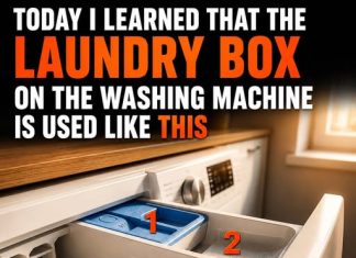 THE HIDDEN USES OF YOUR WASHING MACHINE’S DETERGENT DRAWER (WHY EACH COMPARTMENT MATTERS)