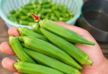 Eating Okra Daily can be part of a healthy diet