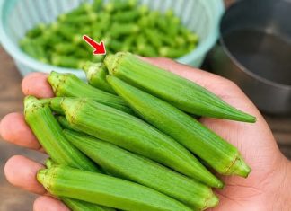 Eating Okra Daily can be part of a healthy diet
