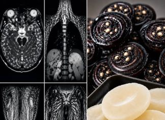 THE 8 COMMON FOODS THAT CARRY THE HIGHEST RISK OF FOOD POISONING (PROTECT YOUR FAMILY FROM THESE HIDDEN DANGERS)