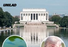 Trump’s $14.2 million blue Reflection Pool turns green as four theories emerge on why