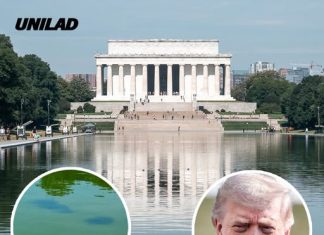 Trump’s $14.2 million blue Reflection Pool turns green as four theories emerge on why