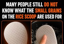 THE SECRET BEHIND THAT PADDLE IN YOUR RICE COOKER – AND HOW TO USE IT RIGHT