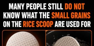 THE SECRET BEHIND THAT PADDLE IN YOUR RICE COOKER – AND HOW TO USE IT RIGHT