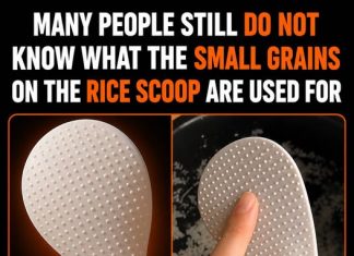 THE SECRET BEHIND THAT PADDLE IN YOUR RICE COOKER – AND HOW TO USE IT RIGHT
