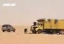 Nearly 50 people die of thirst after truck breaks down in middle of Sahara desert