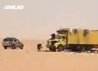 Nearly 50 people die of thirst after truck breaks down in middle of Sahara desert