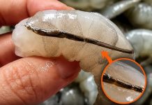 THE DANGEROUS TRUTH ABOUT SHRIMP (WHY YOU SHOULD NEVER EAT THE BLACK VEIN)