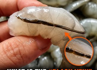 THE DANGEROUS TRUTH ABOUT SHRIMP (WHY YOU SHOULD NEVER EAT THE BLACK VEIN)