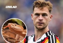 World Cup stars left terrified after venomous snakes invade training camps in the US
