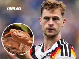 World Cup stars left terrified after venomous snakes invade training camps in the US