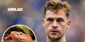 World Cup stars left terrified after venomous snakes invade training camps in the US