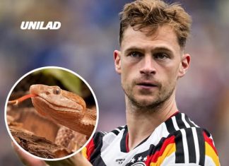 World Cup stars left terrified after venomous snakes invade training camps in the US