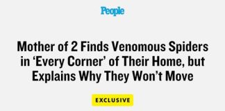 Mother of 2 Finds Venomous Spiders in ‘Every Corner’ of Their Home, but Explains Why They Won’t Move (Exclusive)