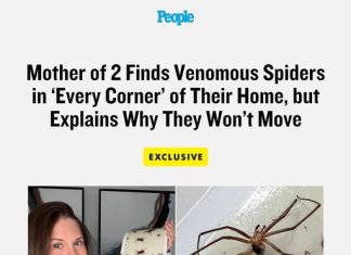 Mother of 2 Finds Venomous Spiders in ‘Every Corner’ of Their Home, but Explains Why They Won’t Move (Exclusive)