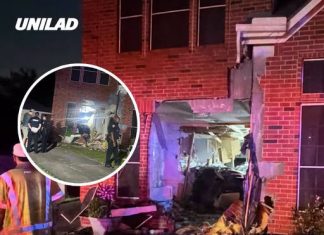 Tesla running on ‘autopilot’ kills woman, 76, after crashing into her home as police release details