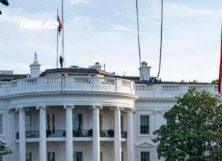 FBI confirms five men charged over alleged plot to attack White House UFC Event